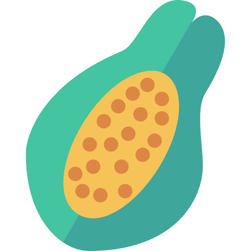 papaya Dinosoft Flat icono