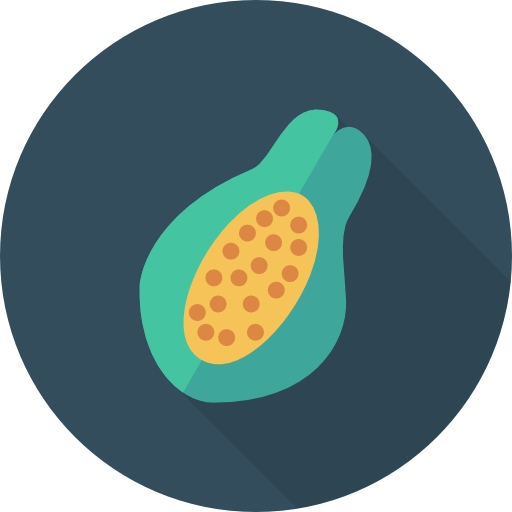 papaya Dinosoft Circular icono