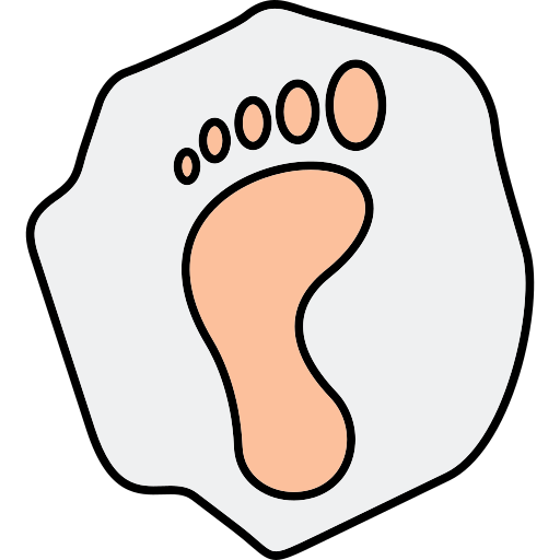 Footprint Generic Thin Outline Color icon