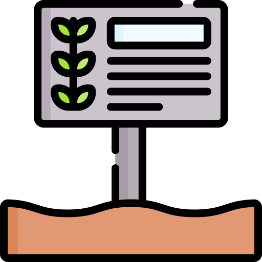 letrero Special Lineal color icono
