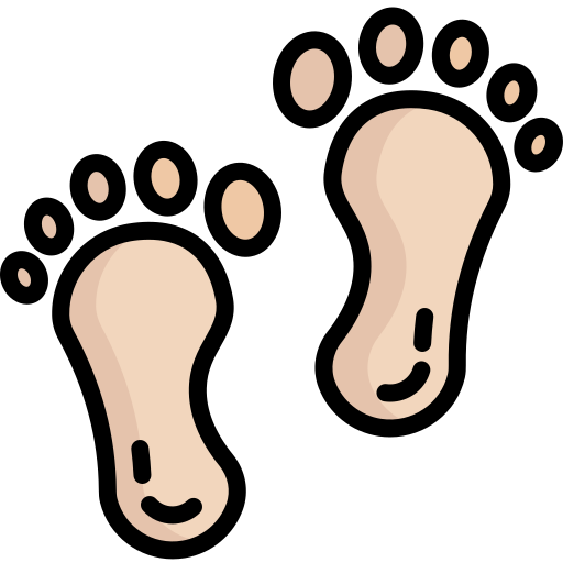 Footprint Generic Outline Color icon