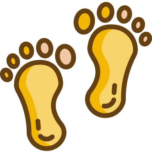 Footprint Generic Outline Color icon