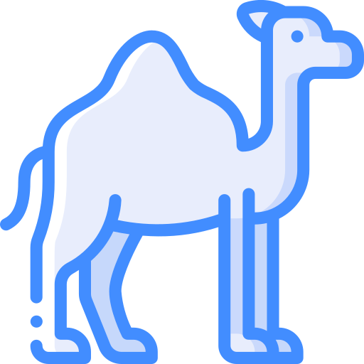 wielbłąd Basic Miscellany Blue ikona