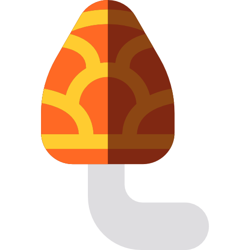 morchel Basic Rounded Flat icon