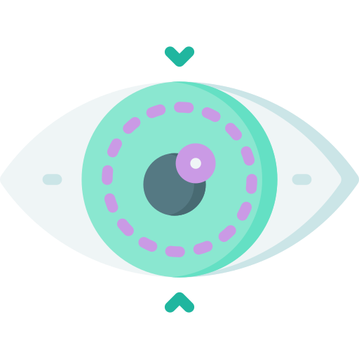Eyes Special Flat icon