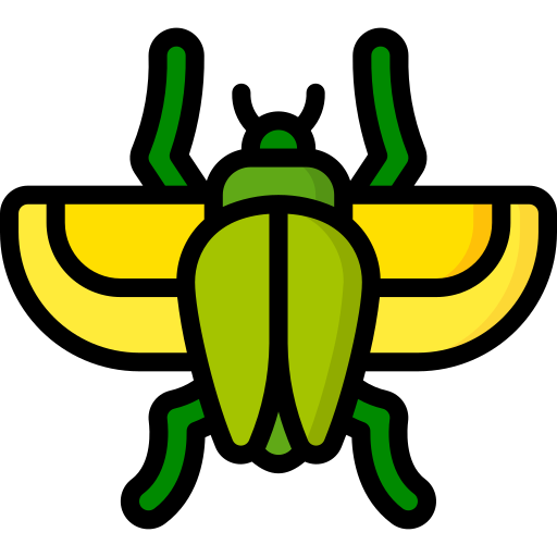 甲虫 Basic Miscellany Lineal Color icon