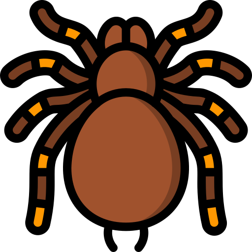 tarantula Basic Miscellany Lineal Color ikona