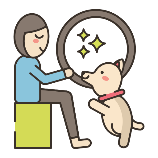 Dog training Flaticons Lineal Color icon