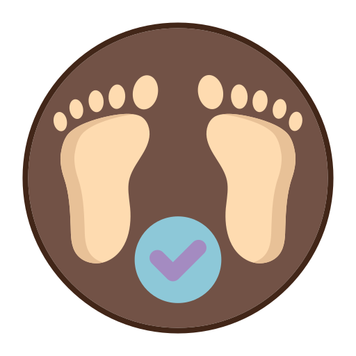 Feet Flaticons Lineal Color icon