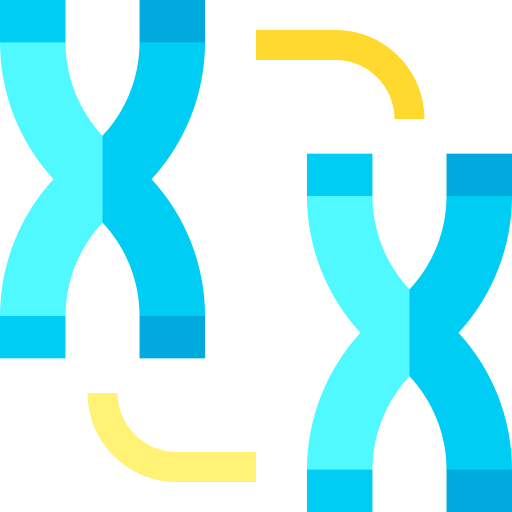 Хромосома Basic Straight Flat иконка