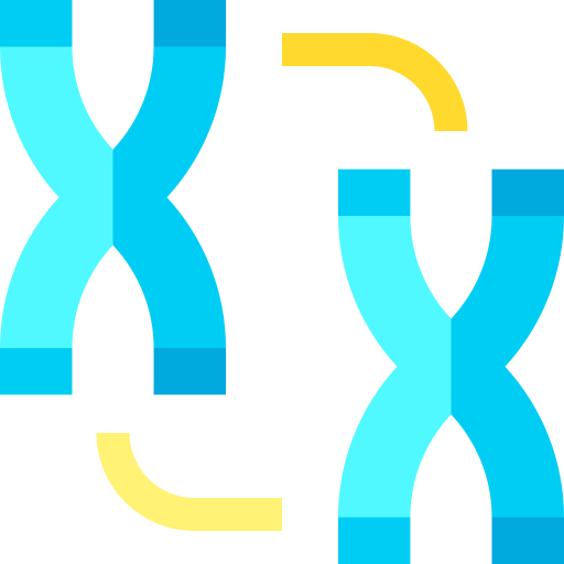 chromosome Basic Straight Flat Icône