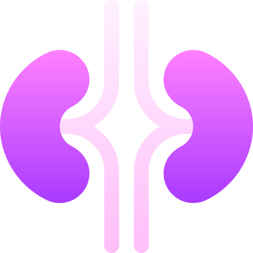 Kidneys Basic Gradient Gradient icon