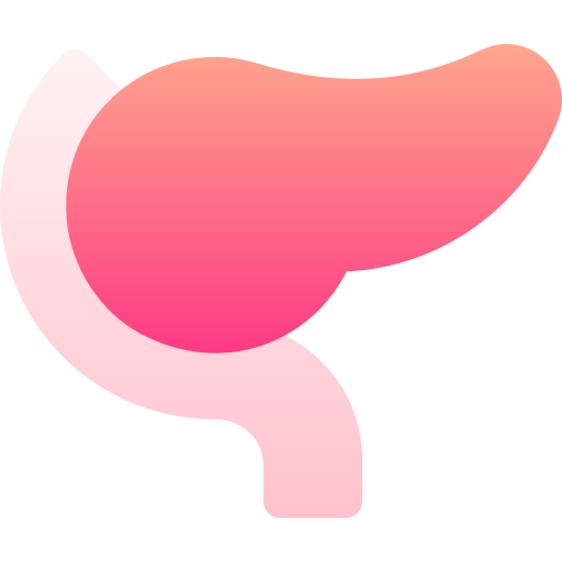 páncreas Basic Gradient Gradient icono