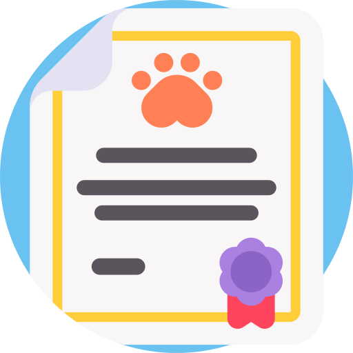Certificate Detailed Flat Circular Flat icon
