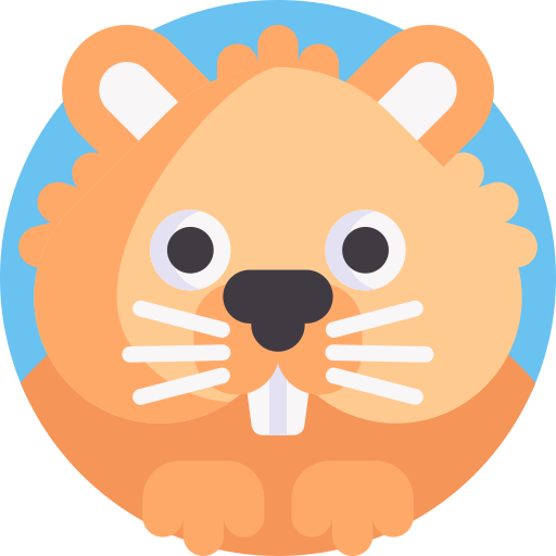 Hamster Detailed Flat Circular Flat icon