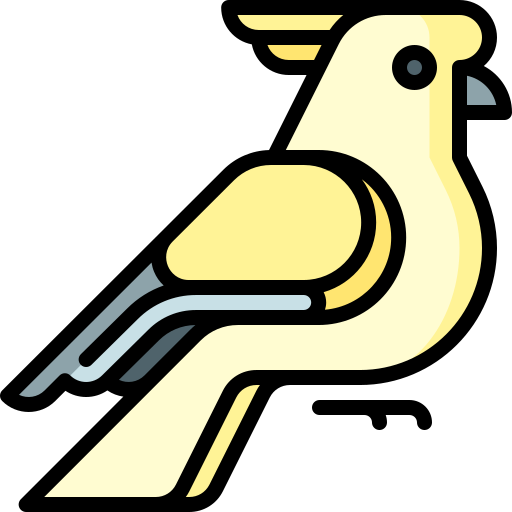Cockatoo Special Lineal color icon