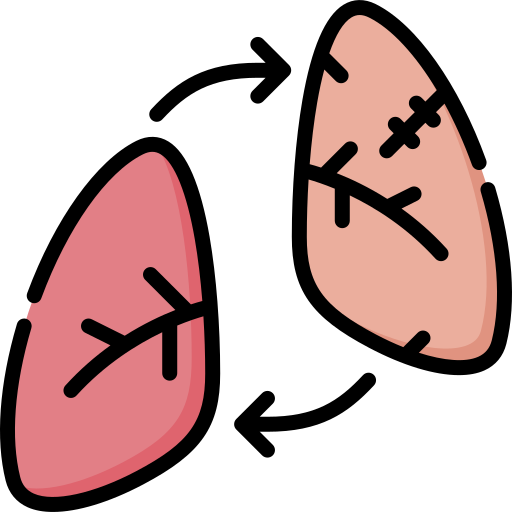 Lung Special Lineal color icon