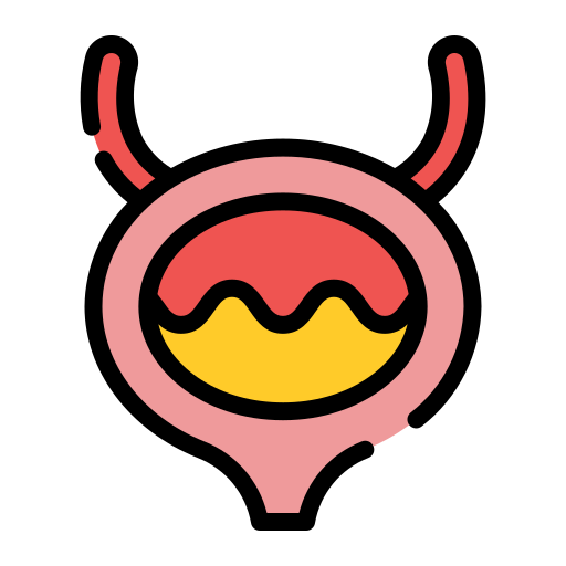 Bladder Generic Outline Color icon