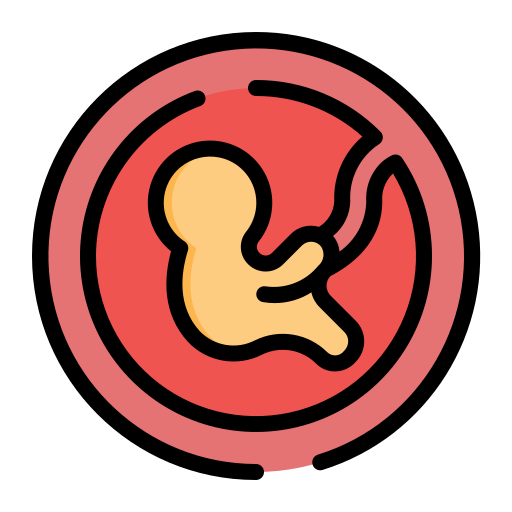płód Generic Outline Color ikona