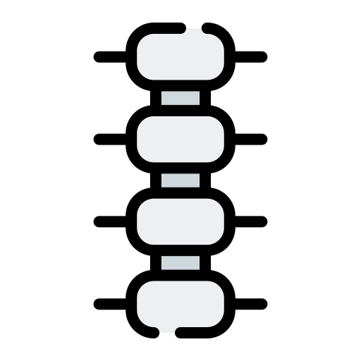Spine Generic Outline Color icon