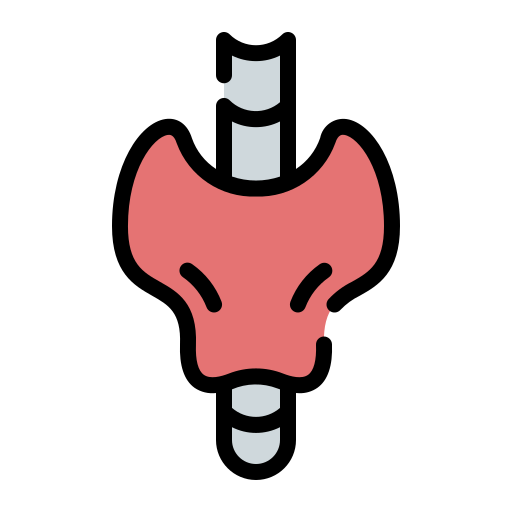 Thyroid Generic Outline Color icon