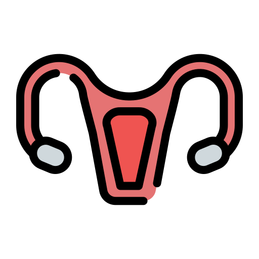 uterus Generic Outline Color icon