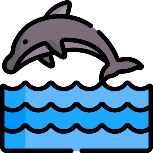 delfin Special Lineal color icon