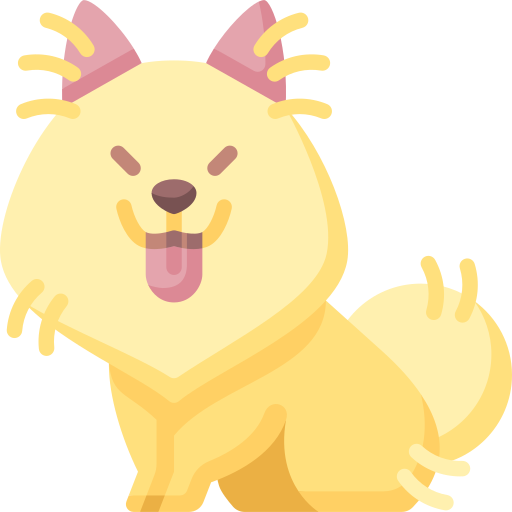 Pet Special Flat icon