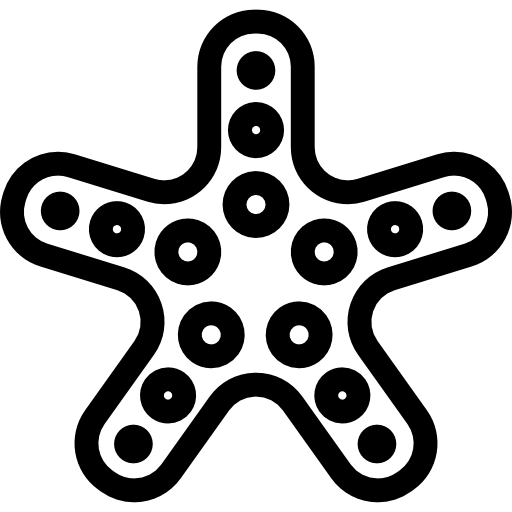 stella marina a cinque punte delineata  icona