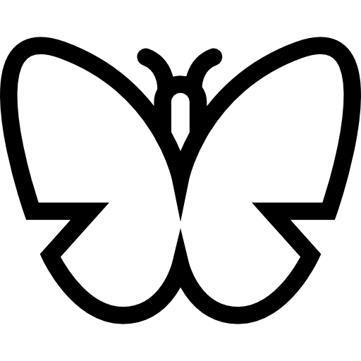 widok z góry zarys motyla  ikona