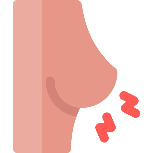 brust Basic Rounded Flat icon
