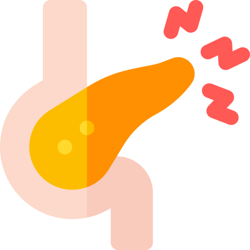 pankreas Basic Rounded Flat icon