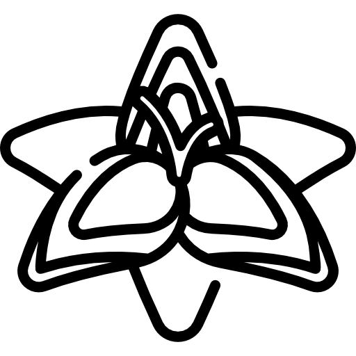 글라디올러스 Special Lineal icon
