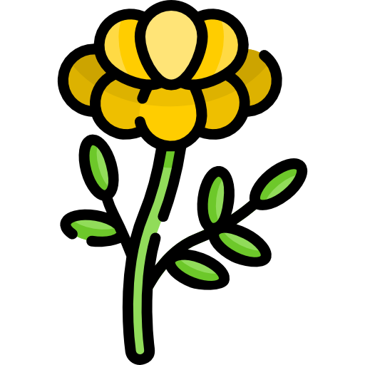 Cinderpaschchilla Special Lineal color icon