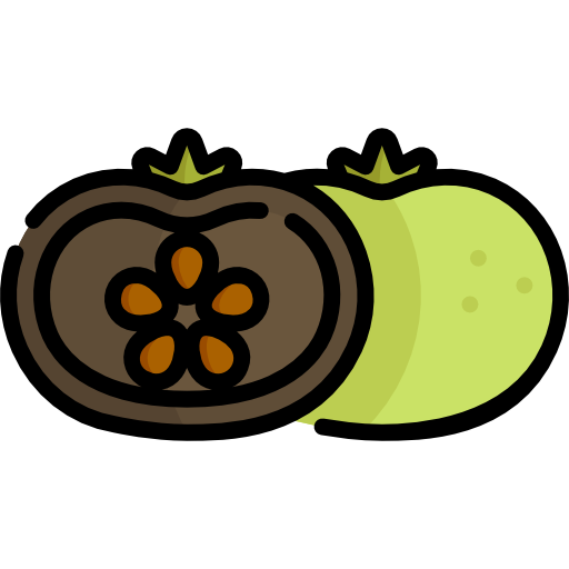 Sapote Special Lineal color icon