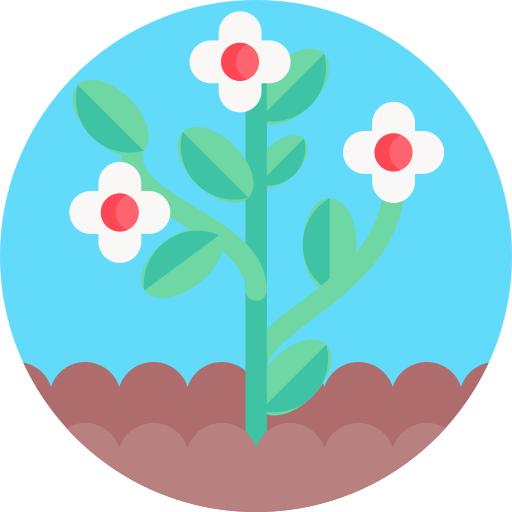 Flower Detailed Flat Circular Flat icon