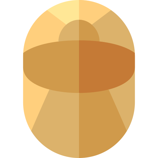 딱정벌레 Basic Rounded Flat icon