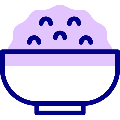 Rice bowl Detailed Mixed Lineal color icon