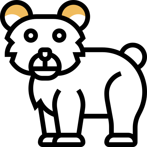 クマ Meticulous Yellow shadow icon
