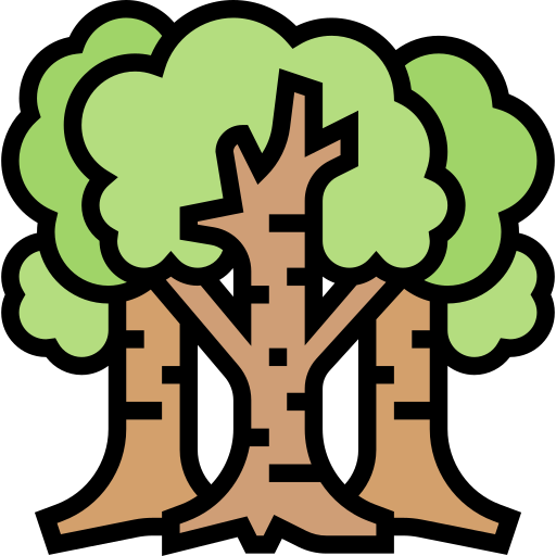 arbre de bouleau Meticulous Lineal Color Icône