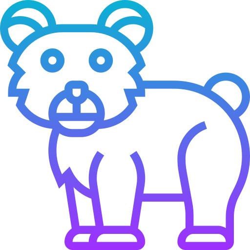 곰 Meticulous Gradient icon
