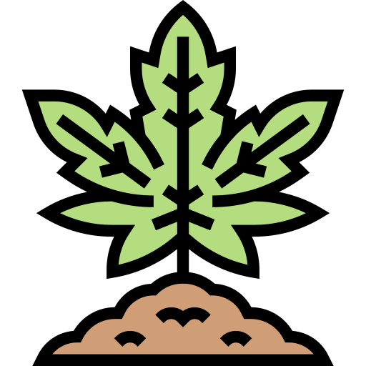 marijuana Meticulous Lineal Color icono
