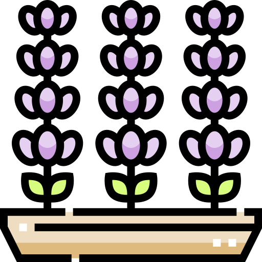 lavendel Detailed Straight Lineal color icon