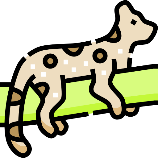 giaguaro Detailed Straight Lineal color icona