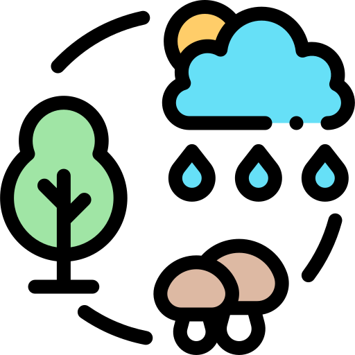 ekosystem Detailed Rounded Lineal color ikona
