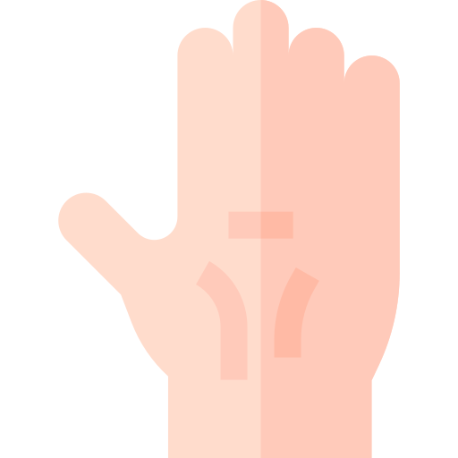 Palm Basic Straight Flat icon