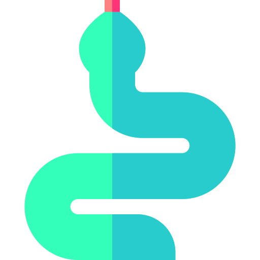 Snake Basic Straight Flat icon