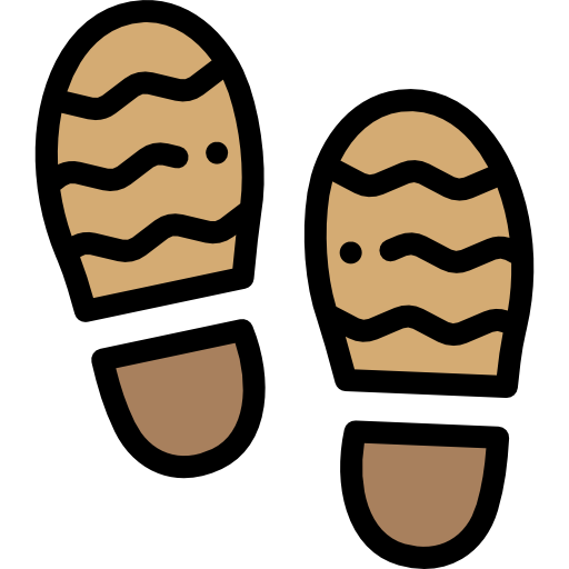 Footprints Detailed Rounded Lineal color icon