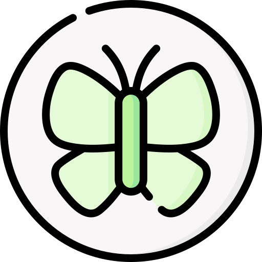 seidenstoff Special Lineal color icon
