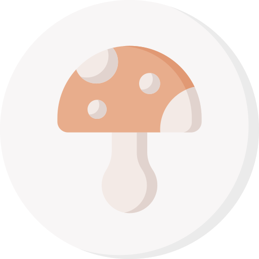 grzyb Special Flat ikona